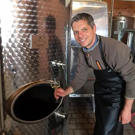 Wohnen Auf Dem Weingut - Klein Und Fein - Wengertssube Lägenhet Maring-Noviand