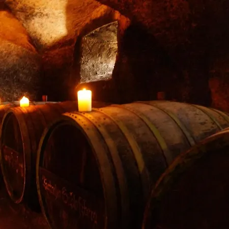 Wohnen Auf Dem Weingut - Klein Und Fein - Wengertssube *