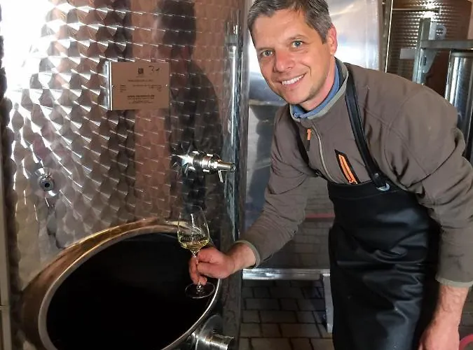 Wohnen Auf Dem Weingut - Klein Und Fein - Wengertssube Lägenhet Maring-Noviand