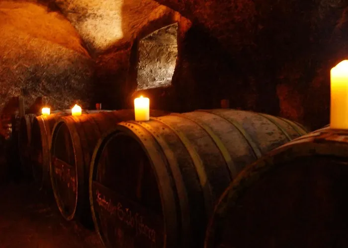 Wohnen Auf Dem Weingut - Klein Und Fein - Wengertssube *