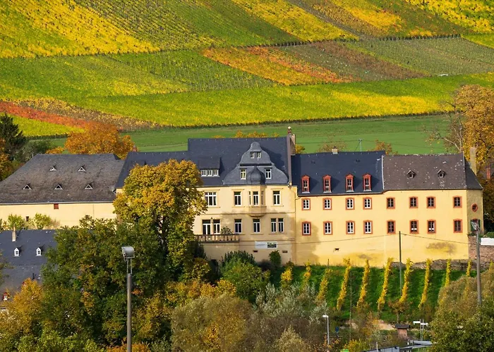 Wohnen Auf Dem Weingut - Klein Und Fein - Wengertssube * Maring-Noviand